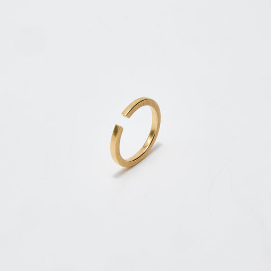 Ring "Little secret"